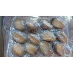 批发供应 鲜活海产品 鱼类  鲍鱼  量大从优