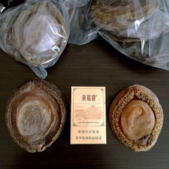 南非鲍鱼 野生南非大网鲍 鲍鱼干货 品相丰腴 裙边完整 送礼...