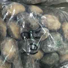 批发大连野生鲍鱼 新鲜水产海捕活鲍鱼 8头鲍精品大鲍鱼批发