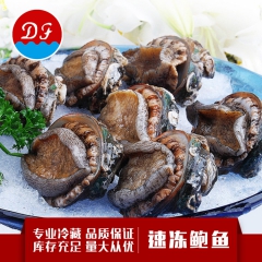 海禄牌 即食鲍鱼 速冻鲍鱼 冷冻鲍鱼即食鲍鱼  野生鲍鱼