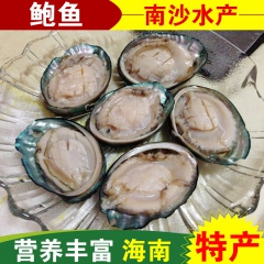 南沙群岛野生深海鱼速冻大鲍鱼 远洋捕捞冷冻大鲍鱼批发