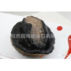 按产地价格批发澳洲大鲍鱼