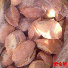 海鲜批发 黄金鲍 鲍鱼 非洲进口 厂家直销 量大从优