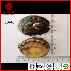 江船长冷冻鲍鱼 有机带壳去内脏蒸煮8只270g装 大量供应可...