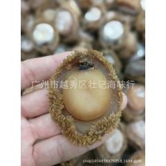南非鲍鱼15头 海鲜干货 野生鲍鱼 送礼佳品 支持一件代发