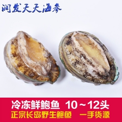 长岛野生优质冷冻鲜鲍鱼 野生散装鲍鱼家庭自食款10-12头厂...