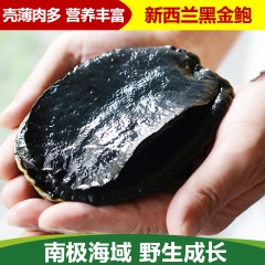 鲜活黑金鲍 鲜活鲍鱼 新西兰进口 400g/只  品质保证 ...