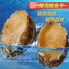 精挑细选海鲜冻鲍 带壳冷冻鲍鱼 皱纹盘鲍 制水产品冻鲍鱼50...