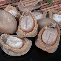 专业批发鲍鱼干 鲍鱼干货 进口野生鲍鱼 干鲍鱼