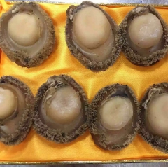 批发零售精选南非干鲍鱼网鲍正宗鲍鱼干货品质保证18-20头干...