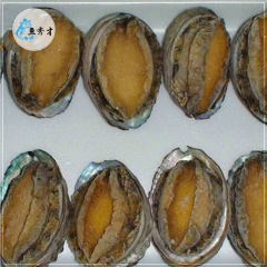 新鲜冷冻鲍鱼 优质鲍鱼厂家直销 水产品低价批发价格优惠