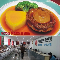 海文铭野生鲍鱼 酒店半成品方便菜���鲜冷冻水产品批发400...