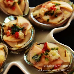 进口澳鲍 蒜蓉粉丝 鲍鱼 同款 蒜蓉粉丝扇贝 酒店宴会 特色...