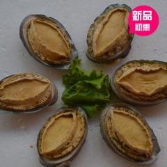 厂家推荐精致冻干鲍鱼 优质冻干鲍鱼 北方精致海鲜鲍鱼供应商