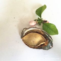 【盈轩 】FD冻干即食鲍鱼 青岛特产海鲜鲍鱼干货 淡干鲍鱼 ...