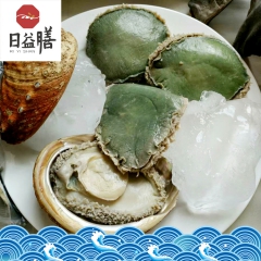 供应批发澳洲青边鲍鱼 进口冷冻 物美价廉 南非青边冻鲍鱼