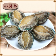 长岛鲍鱼 开袋即食鲍鱼鲜活速冷冻海鲜野生鲍鱼500g 6只/...