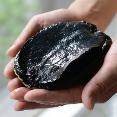 黑金鲍300-400g 新西兰进口海鲜鲍鱼