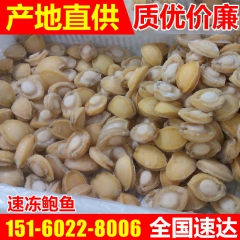专业供应鲍���肉冻煮鲍鱼肉 酒店速冻鲍鱼净肉批发 大连冻干...