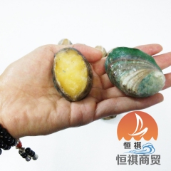 厂家直供 恒祺商贸 冷冻野生鲍鱼 杀青鲍鱼 物美价廉