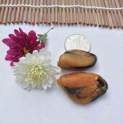 【盈轩】淡菜干贻贝 大优质淡晒海虹干 原色无漂洗海产品干货
