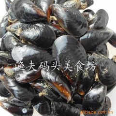 海中鸡蛋 新鲜贻贝 青口贝 淡菜 海虹 鲜活