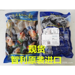 智利蓝口贝 蓝贻贝 原装正关进口 适合礼包、零售超市、餐厅