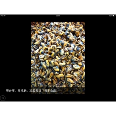 中华老字号 东阿阿胶桃花姬阿胶糕300g