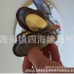 中华老字号 东阿阿胶桃花姬阿胶糕300g