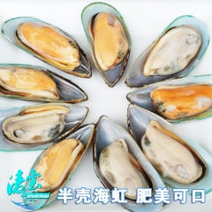 供应 半壳海虹 半壳贻贝 海虹 野生鲜嫩海虹 水产品批发