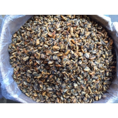 批发  淡菜  贻贝  产地直销海鲜干货