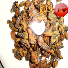 新品促销优质海产原味无沙淡菜海红贻贝 28元500克特产散装