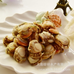 大连 冻煮元贝 帆立贝 夏夷贝 虾贻贝 扇贝 全贝肉 工厂直...