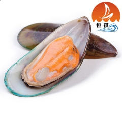 翡翠贻贝 青口贝 肉味鲜美 满满的微元量
