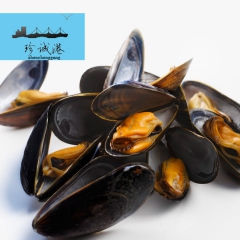 直供批发调味蓝口贝 青口贝 海虹 贻贝 原味贝爱尔兰原装进口