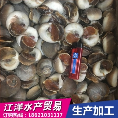上海批发水产品 香螺 玉螺 一手新鲜货源 冷冻水产品