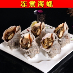 【皇冠信誉】一手货源【天然野生】大海螺 海螺肉 香螺 冷冻 ...