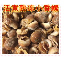 批发供应！活煮熟冻小香螺，12kg/箱，海鲜自助餐饮酒店优质...