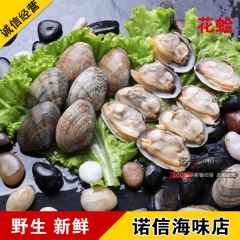 全国供应鲜活海鲜水产 蛤蜊 花蛤 花甲 贝类批发  诺信海味...
