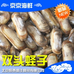 威海鲜活蛏子 鲜活水产蛏 海鲜双头蛏子 海鲜海蚬特价