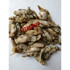 连云港海头海鲜鲜活现剥去壳 竹蛏 双头蛏 蛏肉 蛏子 味道鲜...
