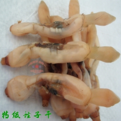 海蛏干 大海蛏干 蛏子肉 单头蛏子干 竹节蛏 刀蚬 海鲜干货...