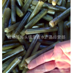 鲜活竹蛏 大竹蛏 刀把蛏 贝类产地直销活海鲜产品批发海鲜批发