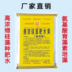 【11】速效硅藻肥水爽：鱼药鱼肥虾药水产药鱼虾药蟹药海参药蛏