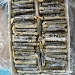 供应巴基斯坦竹节蛏，蛏子，海蛏子，竹蛏子，一手货源，10-1...