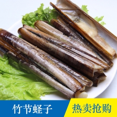 供应蛏子 螠蛏 竹节蛏 活海鲜产品 中科水产批发