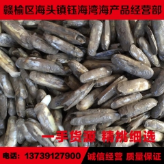 连云港贝类海鲜批发 产地直供鲜活蛏子 双头蛏 毛鲜 新鲜刀蛏