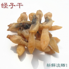 特级蛏子干 单头 竹节蛏 竹蛏干货 海蚬 刀蚬 贝类海鲜 2...