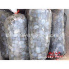 鲜活海鲜批发 鲜活泥螺 新鲜海产 连云港海鲜水产批发