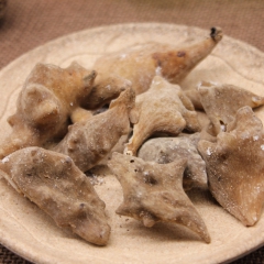 批发供应冷背中药材 花倍五倍子 精选优质文蛤 纯天然无硫熏